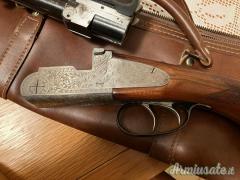 Zoli Antonio delfino 20