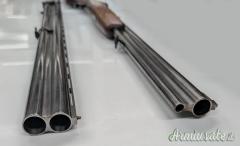 Zoli Antonio Delfino 12