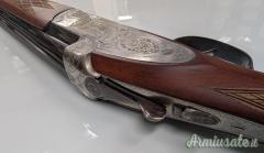 Zoli Antonio Delfino 12