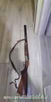 Rizzini Artemis 20