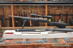 Ruger | Sturm 10-22 .22 Long Rifle