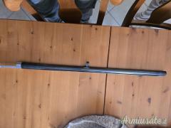 Canna Benelli Cal 12
