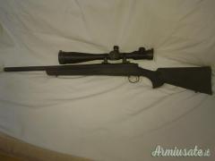 Remington 700 .308 Winchester