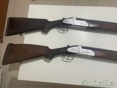 Zoli Antonio Delfino 12