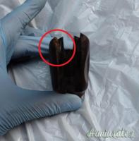 Guancette SMITH & WESSON