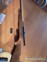 Krico Semiautomatica  .22 Long Rifle