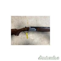 Rizzini omnium 20