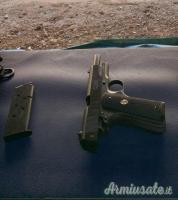 Colt Government S70 .45 ACP