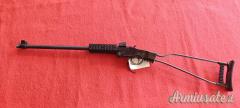 Carabina Chiappa 22LR