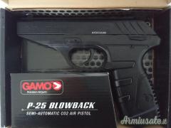 Gamo P-25 Blowback  4.5/.177