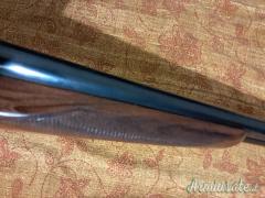 Zoli Antonio Ariete 12