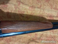 Zoli Antonio Ariete 12