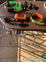 Palmare satellitare Dog Trace x30