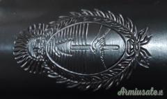 Mauser Argentino M1891/31 Geniere