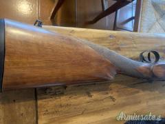 ...Altro | Non elencato  12