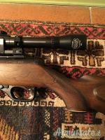 Heckler & Koch HK 300 WMR .22 WMR