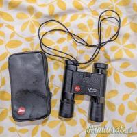 Binocolo Leica 10x25 BC