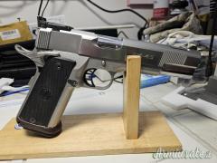 Para Ordnance P14.45 .45 ACP