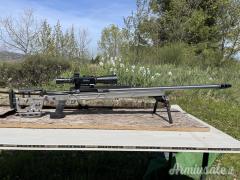 Victrix Crown 375 CheyTac