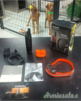 Usato armin Pro 550 / T10 Collari /G3 cicalino