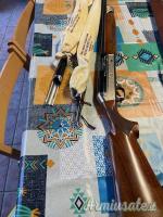 Benelli raffaello sl 12