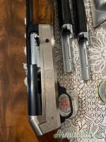 Benelli raffaello sl 12