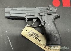 SIG-Sauer MOSQUITO .22 LR Long Rifle