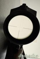 Swarovski Z6i 5-30x50P