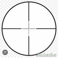 Burris black diamond 8-32 x50 ballistic Mil dot