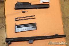 Conversione IMI Desert Eagle Cal.44 Magnum