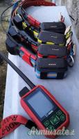 Kit tr-dog con 4 collari