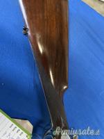 ...Altro | Non elencato Baiard 12