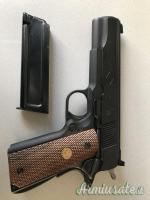 Colt Government Service Ace .22 Long