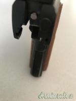 Colt Government Service Ace .22 Long