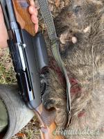 Benelli Argo E .30-06 Springfield