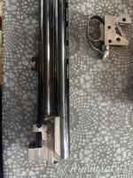 Castellani Jupiter  Trap 12