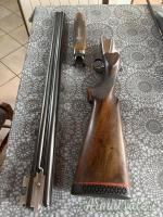 Zanotti Pigeon32 Trap 12