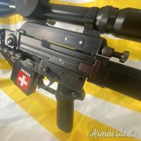 Sig STGW PE 57 sniper