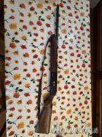 Beretta Al 390 gold mallard 20