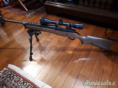 Ruger | Sturm Mini 14 .223 Remington