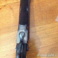 W.W. Greener cani esterni 12