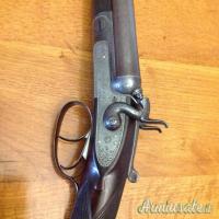 ...Altro | Non elencato CANI ESTERNI 16