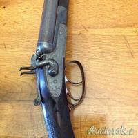 ...Altro | Non elencato CANI ESTERNI 16