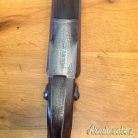 ...Altro | Non elencato CANI ESTERNI 16