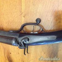 ...Altro | Non elencato CANI ESTERNI 12