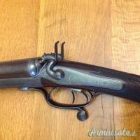 ...Altro | Non elencato CANI ESTERNI 12