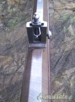 Carabina Cantonale Svizzera