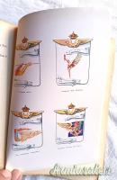 Testo epoca fascista “ALI E SQUADRIGLIE” di Saverio Laredo De Mendoza e Alfredo Russo - 1933