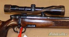 Steyr Mannlicher L Cal. 243W con Ottica