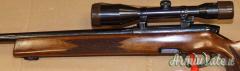 Steyr Mannlicher L Cal. 243W con Ottica